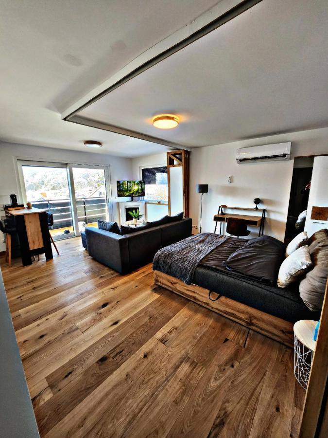 Lions Place Premium Apartments Executive Luxus Penthouse Inklusive Spa Heidenheim an der Brenz Exterior foto