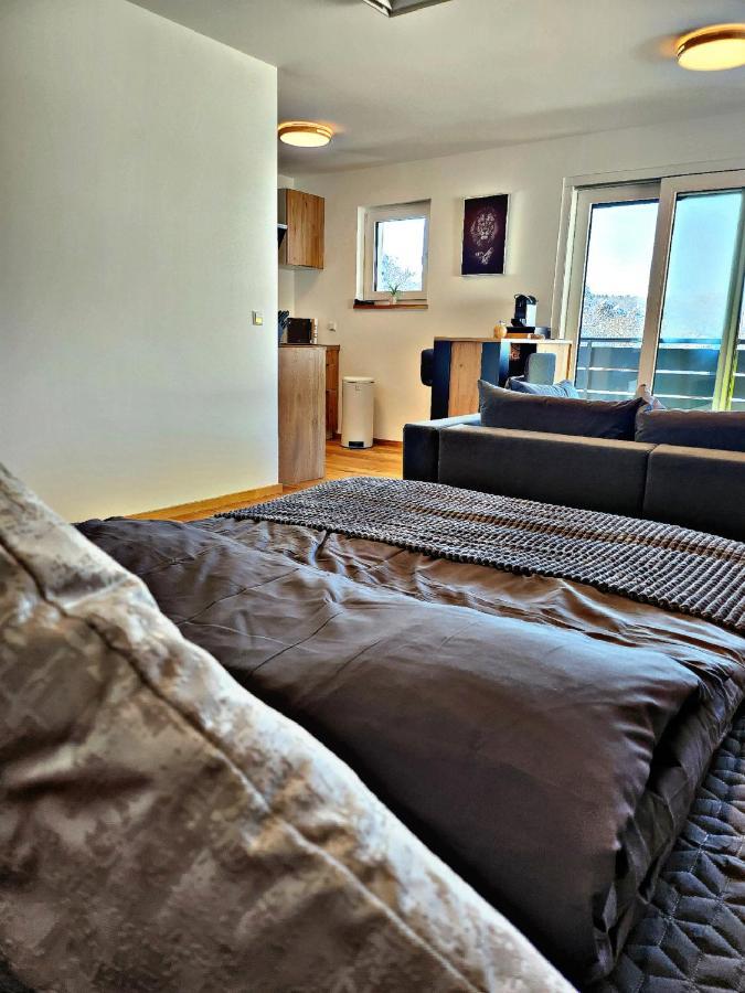 Lions Place Premium Apartments Executive Luxus Penthouse Inklusive Spa Heidenheim an der Brenz Exterior foto