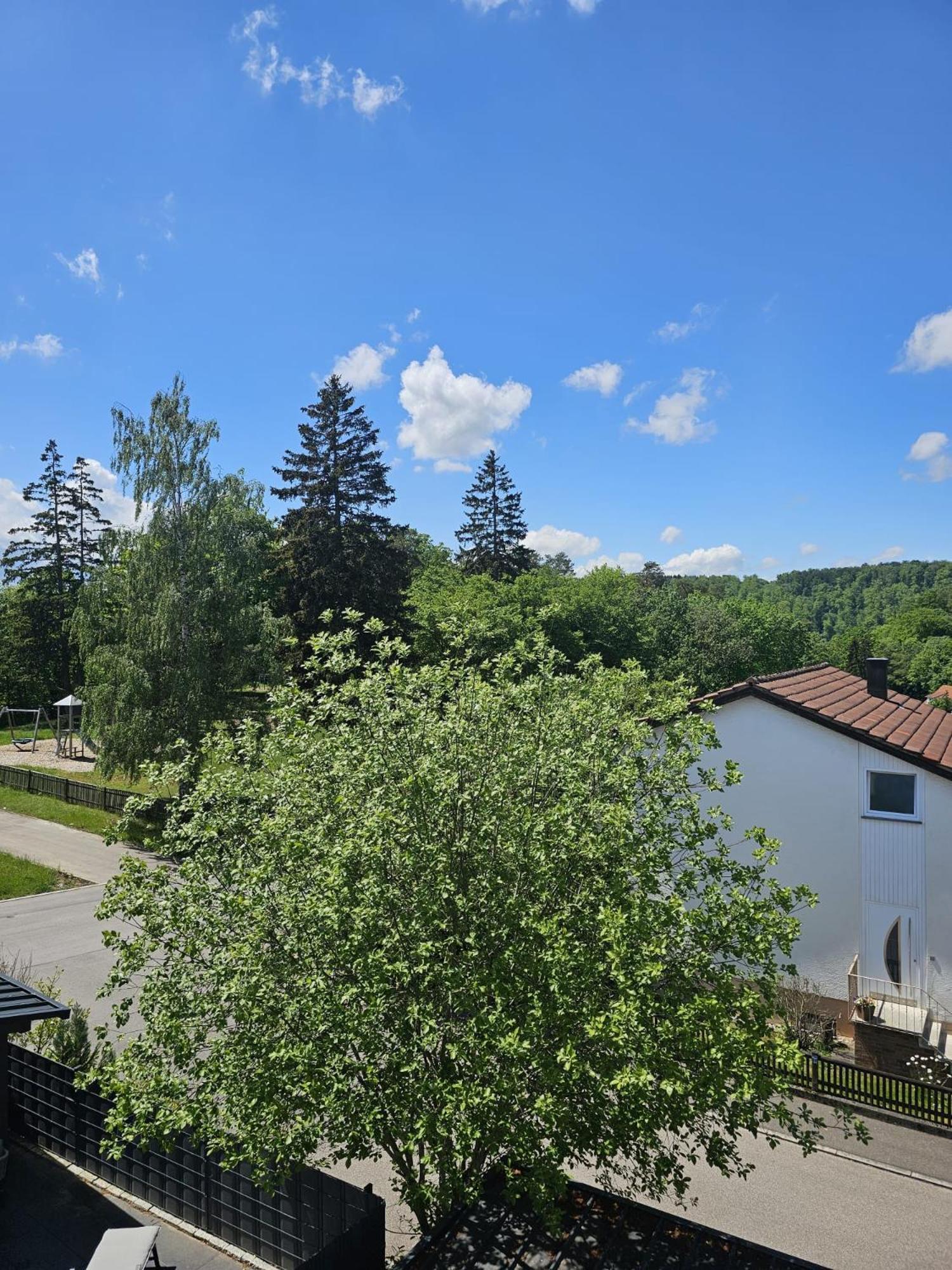 Lions Place Premium Apartments Executive Luxus Penthouse Inklusive Spa Heidenheim an der Brenz Exterior foto